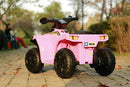 Kids Quad ATV Ride-On Toy Bike with 6V Battery and Four Wheels Magic Cars 4