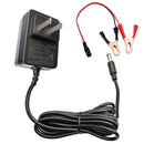 12 Volt Battery Charger for Kids Ride-On Toys and Toy Cars Magic Cars 0