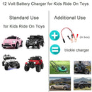 12 Volt Battery Charger for Kids Ride-On Toys and Toy Cars Magic Cars 1