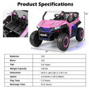 12V 2-Seater Kids Ride-On UTV with Slow Start and Music Pink Magic Cars 4