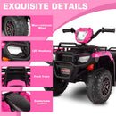 12V/24V Electric Ride-On Four Wheeler Toy Car Jeep Truck ATV for Kids Magic Cars 21