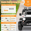 12V Electric Kids Ride-On Truck Toy with 2.4G Remote Control, Power Display, and 3-Speed Settings Magic Cars 9
