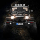 Pink LED Light Remote Control 12V Kids Riding Truck Car Magic Cars 1
