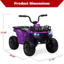 12V Kids Electric Ride-On 4 Wheeler ATV Quad with High/Low Speed Settings Magic Cars 7