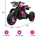 12V Battery-Powered Electric Ride-On 3-Wheel Kids Trike Motorcycle Magic Cars 2
