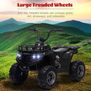 12V Battery-Powered Electric Ride-On Car for Kids with LED Lights Magic Cars 13