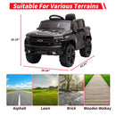 12V Electric Ride-On Truck Car for Kids with Remote Control Magic Cars 1