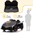 12V Lamborghini Veneno Electric Ride-On Car Toy with LED Lights for Children Magic Cars 2