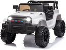 12V Ride-On Electric Truck for Kids with LED Lights and Opening Doors Magic Cars Variant 0