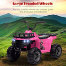 12V Electric Ride-On 4-Wheel ATV Quad for Kids with Power Wheels Magic Cars 19