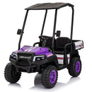 2-Seater 24V Ride-On Golf Cart Truck for Large Kids with Roof, Storage Trunk, and Remote Control Magic Cars 14