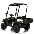 2-Seater 24V Ride-On Golf Cart Truck for Large Kids with Roof, Storage Trunk, and Remote Control Magic Cars 26