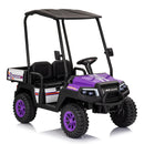 2-Seater 24V Ride-On Golf Cart Truck for Large Kids with Roof, Storage Trunk, and Remote Control Magic Cars 2