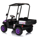 2-Seater 24V Ride-On Golf Cart Truck for Large Kids with Roof, Storage Trunk, and Remote Control Magic Cars 3