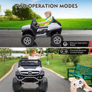 2-Seater Kids Electric Ride-On Truck 24V Battery Powered Car with Remote Control Magic Cars 16