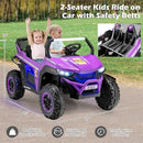 12V Two-Seater Kids' Electric Ride-On UTV Car in Violet Magic Cars 6