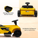 2-Seater Electric Ride-On Toy Car for Kids with 24V 120W Dual Motors and 4 Wheels Magic Cars 11