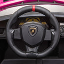 24V4x4LamborghiniVeneno2SeaterRideonCar-FreddoToys14.jpg