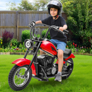 250W 24V Electric Dirt Bike for Kids, Dual Speed, 14MPH, Suitable for Ages 8-12 Magic Cars 1