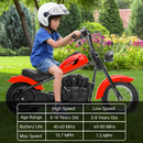 250W 24V Electric Dirt Bike for Kids, Dual Speed, 14MPH, Suitable for Ages 8-12 Magic Cars 3