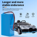 24V 5Ah Lithium Power Battery for Children's Ride-On Vehicles with 29.4V 1A Charger Magic Cars Variant 0
