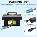 24V 7Ah/12Ah Lithium Battery for Kids Ride-On Cars and Toys Compatible with Dynac Magic Cars 5