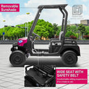 24V 7AH Kids Electric Ride-On Golf Cart Truck 2-Seater UTV with Remote Control Magic Cars 4