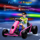 24V 9Ah Kids Electric Go-Kart with Dual 300W Motors High-Speed Racing Toy with Music Magic Cars 4