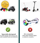 24V Kids Ride-On Car Battery Charger with Charging Indicator Magic Cars 7