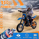 24V 250W Electric Dirt Bike Battery-Powered Ride-On Motorcycle Toy Magic Cars 5
