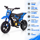 Kids' 24V Electric Dirt Bike with 350W Power and 3 Speed Settings Magic Cars 7