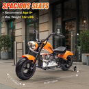 24V Electric Dirt Bike for Kids 8+ Two-Wheel Motorcycle with Handbrake Magic Cars 5