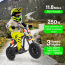 24V Electric Dirt Bike Ride-On Motorcycle with 250W Brushless Motor for Kids Ages 5-12 Magic Cars 8