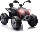 24V Kids 2-Seater ATV Quad with 800W Motors, Bluetooth & USB Connectivity Magic Cars Variant 0