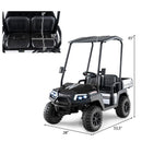 24V Kids 2-Seater 4WD Ride-On Golf Cart with Storage Trunk and Horn Black Magic Cars 4