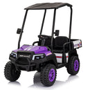 24V Kids 2-Seater 4WD Ride-On Golf Cart with Sun Shade, Storage Trunk, and Remote Control Magic Cars 0