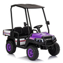 24V Kids 2-Seater 4WD Ride-On Golf Cart with Sun Shade, Storage Trunk, and Remote Control Magic Cars 2