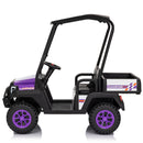 24V Kids 2-Seater 4WD Ride-On Golf Cart with Sun Shade, Storage Trunk, and Remote Control Magic Cars 5