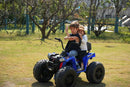 24V Electric Battery-Powered Kids Ride-On ATV Truck 4-Wheeler for Ages 3-8 Magic Cars 6