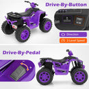 24V Electric 4-Wheeler ATV Ride-On for Kids with Wireless Remote Control Magic Cars 5