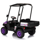 24V Kids 4WD Ride-On Truck 2-Seater Golf Cart with Sun Shade, Storage Trunk, and Remote Control Magic Cars 3