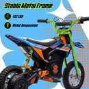 24V Electric Dirt Bike for Kids with 250W Motor Magic Cars 2