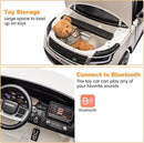 24V 2-Seater Licensed Land Rover Electric Ride-On Car for Kids Magic Cars 4