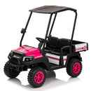 24V XL Kids Electric Ride-On Track Vehicle with Remote Control, Music, and 2-Seater Design Magic Cars 1