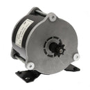 36V 500W Motor for Razor Crazy Cart XL