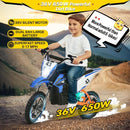 36V 650W Kids Electric Dirt Bike Motocross Motorcycle with 7MPH Max Speed Magic Cars 12