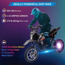 36V Electric Dirt Bike with 350W Brushless Motor for Kids 6+ Years Magic Cars 10