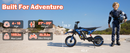 36V Electric Dirt Bike for Kids Ages 4-10, 700W Off-Road Motorcycle with 3 Speeds up to 15.5 MPH, Headlight & Rainbow LED Lights