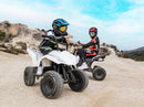 48V Brushless Motor Electric ATV Magic Cars 1