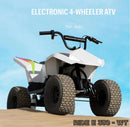 48V Brushless Motor Electric ATV Magic Cars 2